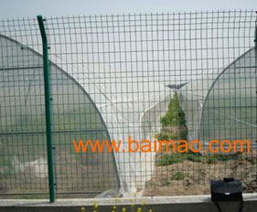 星力网栏厂 专业生产高质量监狱护栏网与机场护栏网